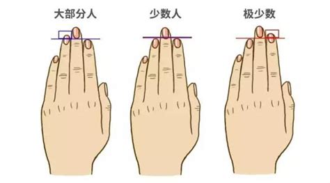手指頭長短 金字塔公式